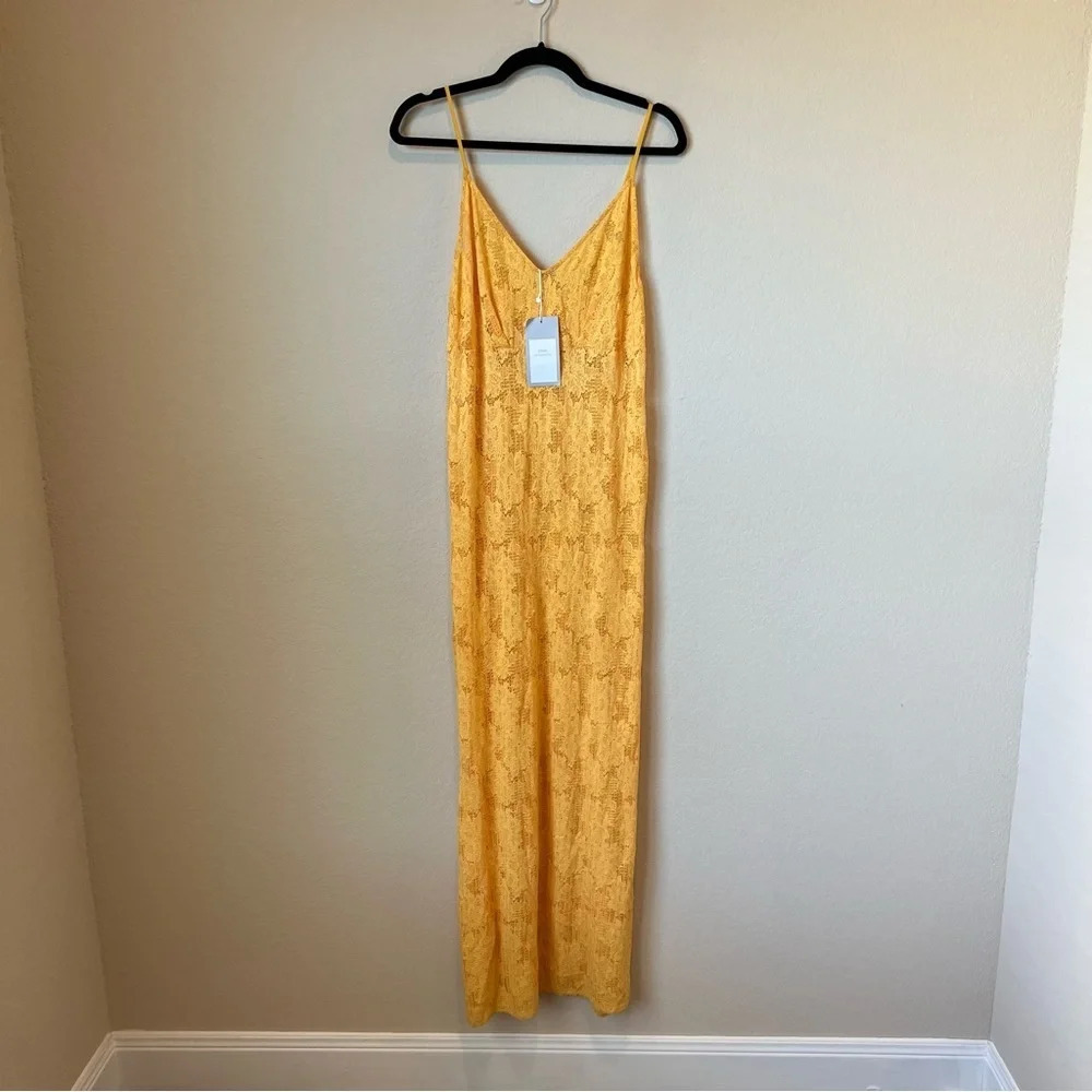 NWT Zara sheer lace maxi dress